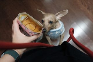 뚱이언니님이 올린 리뷰 사진 3