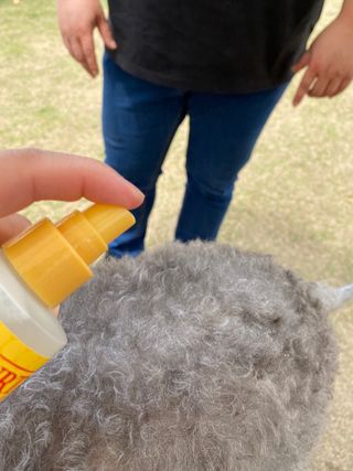 lemoniee님이 올린 리뷰 사진 2