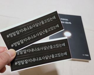 가을봉숙 정말잘지내나요사실난울고있는데 — 5점을 준 리뷰어가 2022년 6월 올린 사용 사진
