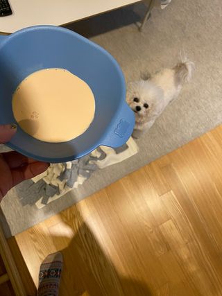 긍정미뇽님이 올린 리뷰 사진 4