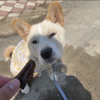 쭈부님이 올린 리뷰 사진 1