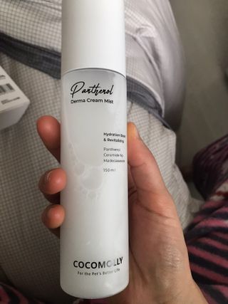 댕댕이님이 올린 리뷰 사진 2
