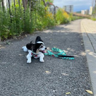 HaejinSeung님이 올린 리뷰 사진 1