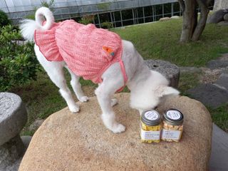 페페로니 진짜 프리바이오틱스 치즈+치즈고구마 180g+180g — 5점을 준 리뷰어가 2021년 7월 올린 사용 사진