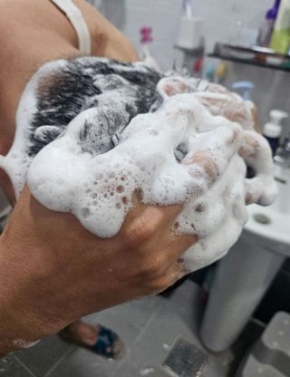 김민경님이 올린 리뷰 사진 2