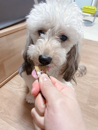 연쨩님이 올린 리뷰 사진 4