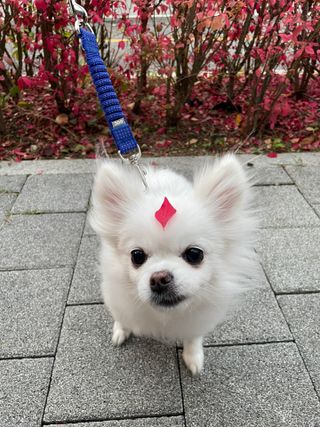 설아리님이 올린 리뷰 사진 1