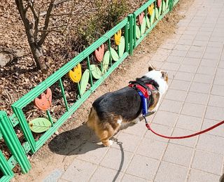 글라라5205님이 올린 리뷰 사진 2
