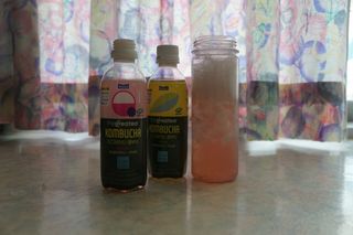 더그레잇티 콤부차 [매일유업] 더그레잇티 44kcal 콤부차 300ml *12개입 (오리지널 6개+베리리치 6개) — 3.5점을 준 리뷰어가 2023년 8월 올린 사용 사진