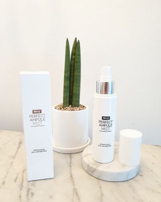 리생 [Re생] 퍼팩트 앰플 이중 기능성 미스트 100ml  피부미백 주름개선 = 총 2개 200ml 증정 — 5점을 준 리뷰어가 2021년 9월 올린 사용 사진