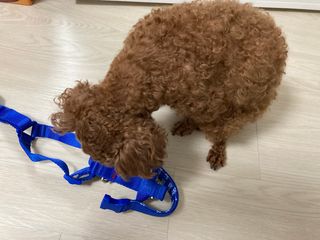 물방울님이 올린 리뷰 사진 1