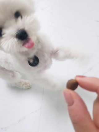 또딩님이 올린 리뷰 사진 2