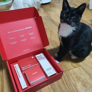 [자유펫] 고양이 턱드름 여드름 예방 및 제거 세트, 블랙씨드케어박스 — 4점을 준 리뷰어가 2021년 10월 올린 사용 사진