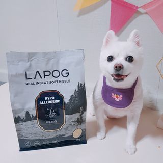 [푸디웜] 라포그 리얼인섹트 소프트키블 스킨 1KG — 5점을 준 리뷰어가 2022년 9월 올린 사용 사진