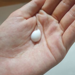 솜희님이 올린 리뷰 사진 3