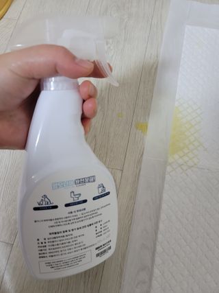 주부쫑님이 올린 리뷰 사진 3