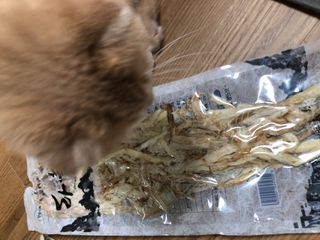 [오늘바스켓] 용대리 손질하늘태 130g — 리뷰어가 2021년 6월 올린 사용 사진