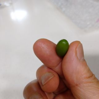 복도리님이 올린 리뷰 사진 4