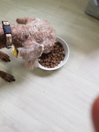 민난길님이 올린 리뷰 사진 2