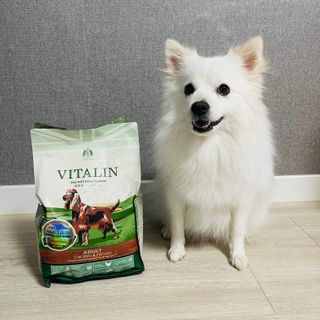 영국 바이탈린 강아지 애견사료 2kg — 5점을 준 리뷰어가 2021년 6월 올린 사용 사진