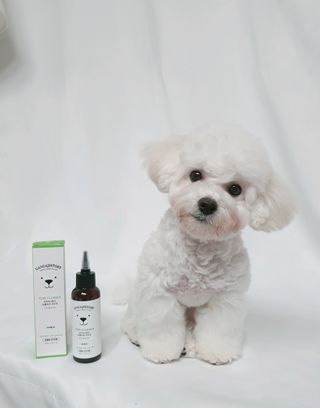 비니주니맘 :D님이 올린 리뷰 사진 1