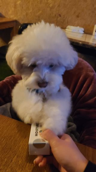 쿵이님이 올린 리뷰 사진 1