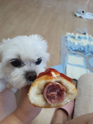 뽀오오옹님이 올린 리뷰 사진 3