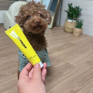 프롬님이 올린 리뷰 사진 1