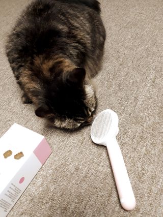 토마토님이 올린 리뷰 사진 3
