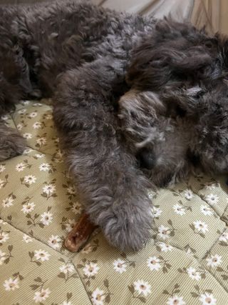 딸기호떡님이 올린 리뷰 사진 3