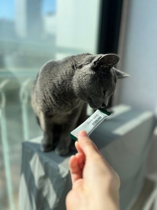 꼼꼼언니님이 올린 리뷰 사진 2