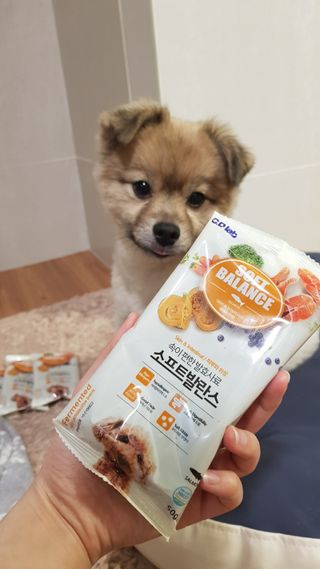 Somi Kim님이 올린 리뷰 사진 1