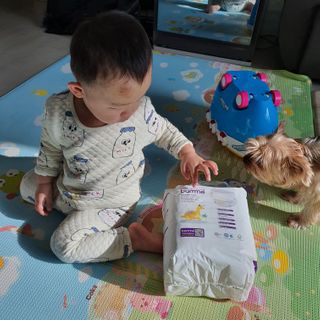 오브맘 밤 프리미엄 아기 기저귀 팬티형 밴드형 — 4점을 준 리뷰어가 2021년 1월 올린 사용 사진