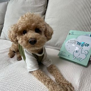 My Pet Care 천연단백질 눈건강에 개좋아 — 5점을 준 리뷰어가 2021년 2월 올린 사용 사진