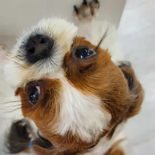 가루파랑님이 올린 리뷰 사진 3