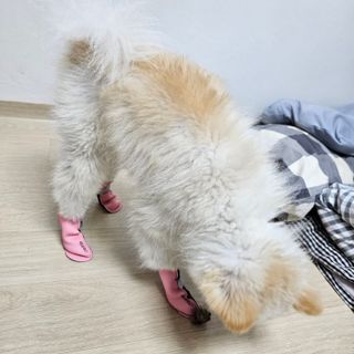 하울님이 올린 리뷰 사진 2