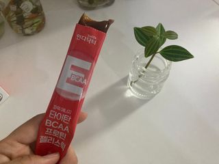 인디닥터 면역 생생 핑크 이뮨 젤리 + 타이탄 BCAA 프로틴 젤리스틱 — 4.5점을 준 리뷰어가 2022년 6월 올린 사용 사진