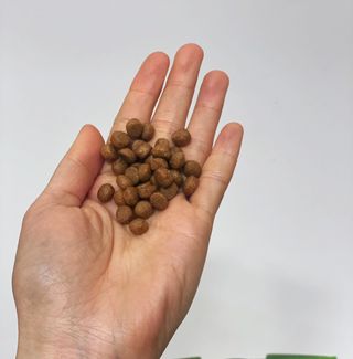 씨디랩 속이 편한 강아지 사료 소프트발란스 기호성 좋은 발효사료 피부와 위장 관절과 위장 — 4.5점을 준 리뷰어가 2021년 3월 올린 사용 사진
