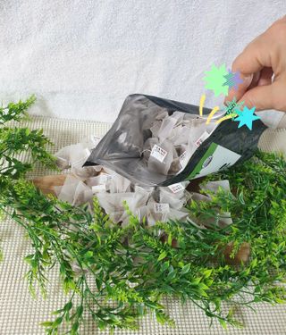 참살이님이 올린 리뷰 사진 2