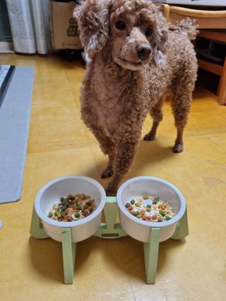 풀빛사랑님이 올린 리뷰 사진 3