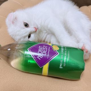 몽베스트 Montbest with Sparkling water Lemon OR Lime 20병(랜덤) — 5점을 준 리뷰어가 2022년 8월 올린 사용 사진