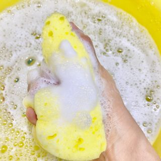 요프님이 올린 리뷰 사진 3