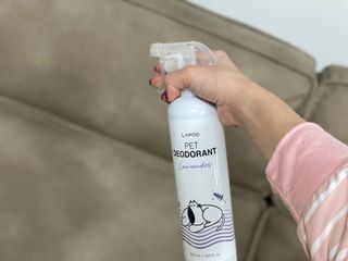 꿀냥이님이 올린 리뷰 사진 3