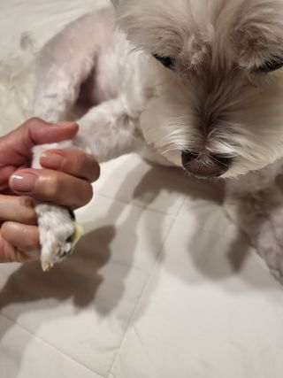 Zenithhappy님이 올린 리뷰 사진 2