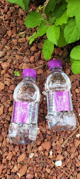 몽베스트 [MONTBEST] 330mL 20병 — 5점을 준 리뷰어가 2023년 5월 올린 사용 사진