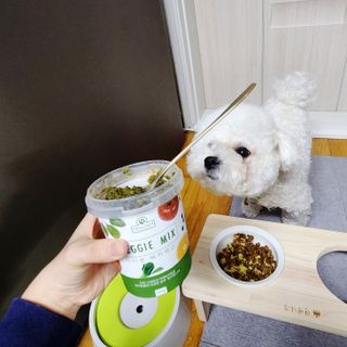리애나님이 올린 리뷰 사진 1