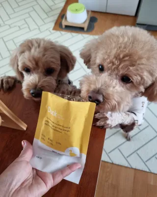 기린짱맘님이 올린 리뷰 사진 2