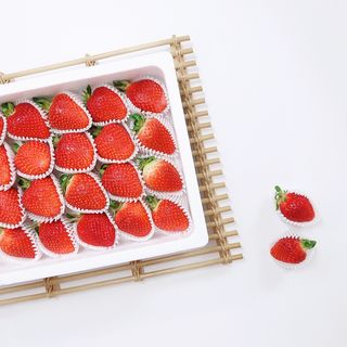 샤샤님이 올린 리뷰 사진 4