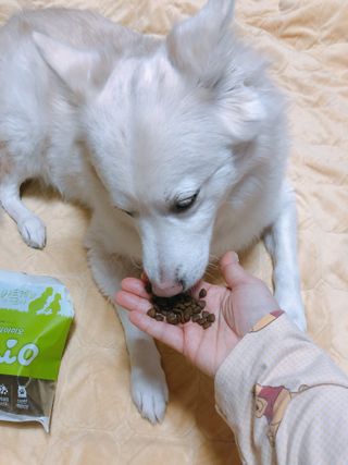 bori0924님이 올린 리뷰 사진 4