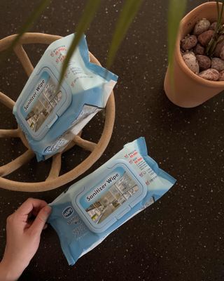 햅스 세균없는 주방 대형 2팩, HAPS sanitizer wipe — 5점을 준 리뷰어가 2022년 2월 올린 사용 사진